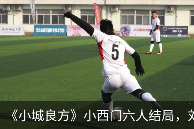 《小城良方》小西门六人结局，刘铮亮继任院长，陈俊南创业