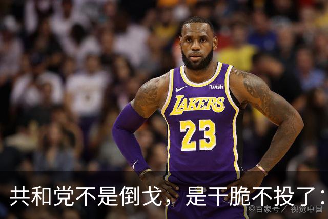 共和党不是倒戈，是干脆不投了：2026中期选举的暗流比民调吓人
