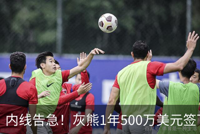 内线告急！灰熊1年500万美元签下比永博补强