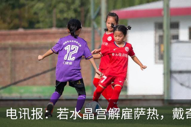 电讯报：若水晶宫解雇萨热，戴奇成新帅热门