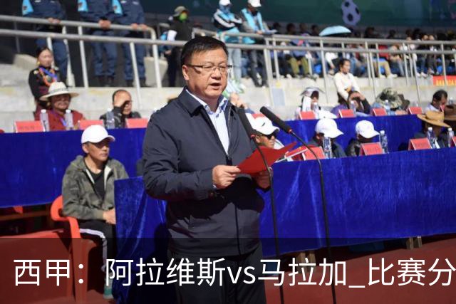 西甲：阿拉维斯vs马拉加 比赛分析