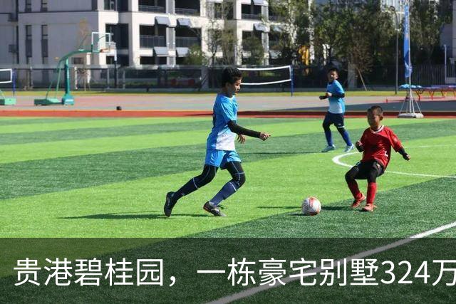 贵港碧桂园，一栋豪宅别墅324万起拍卖，2人报名竞拍却还是流拍了?