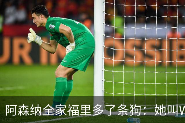阿森纳全家福里多了条狗：她叫Win，2023年就进了训练基地