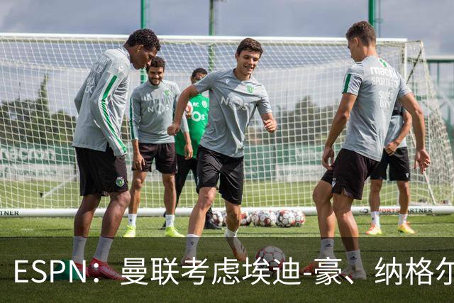 ESPN：曼联考虑埃迪-豪、纳格尔斯曼接替卡里克